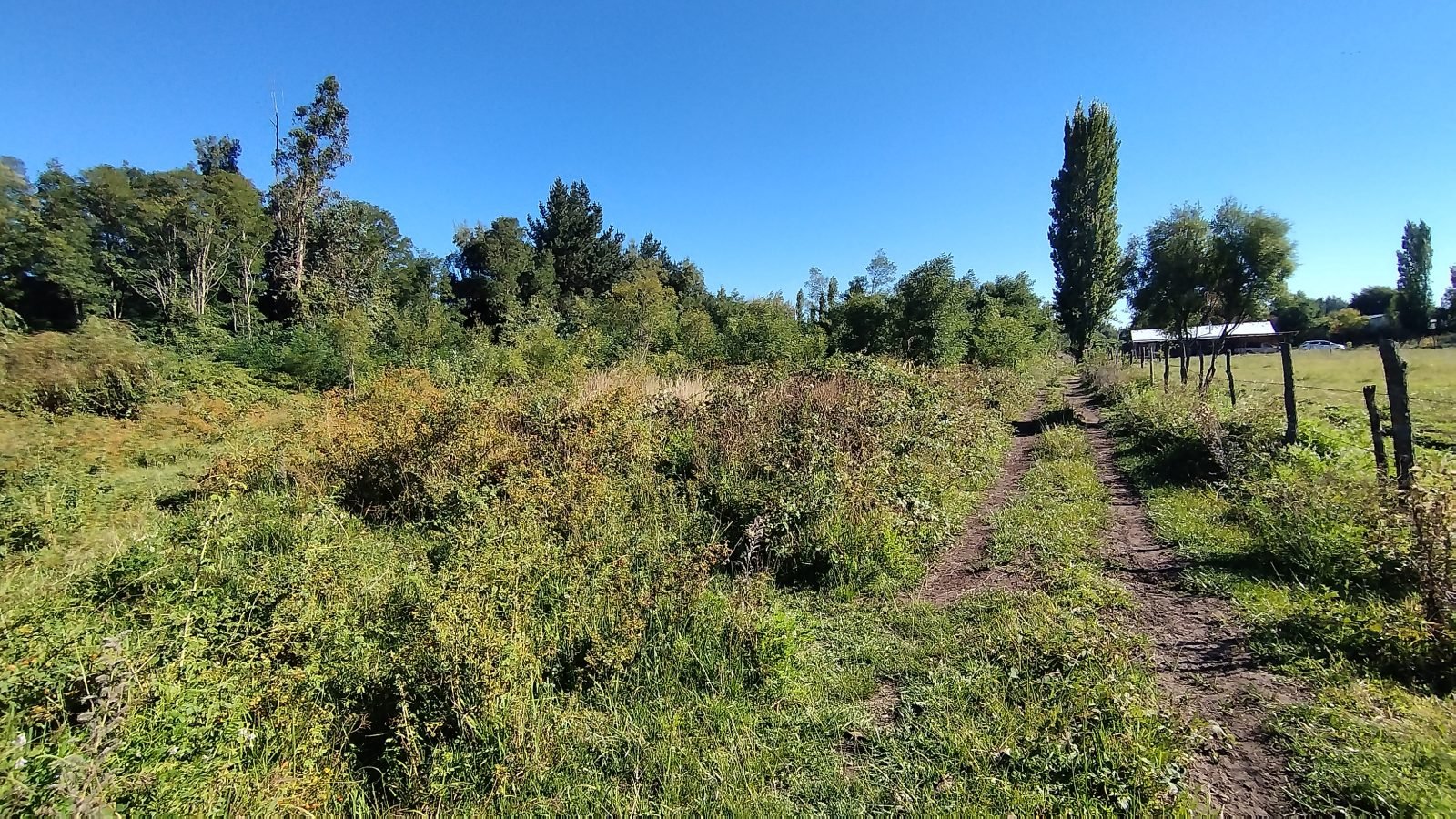 Parcela Lote C Uno, La Higuera – Sector Santa Clara, Los Ángeles