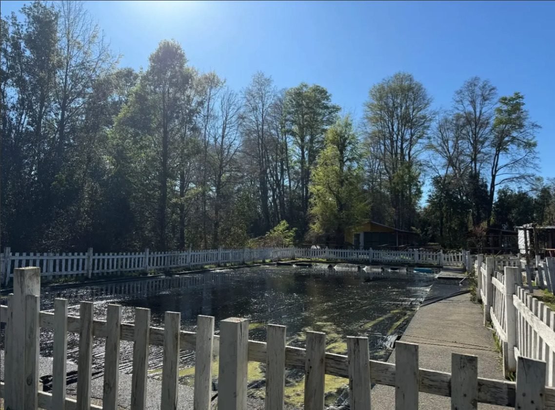 Exclusivo Terreno de 1 Hectárea en Molco Alto, Villarrica