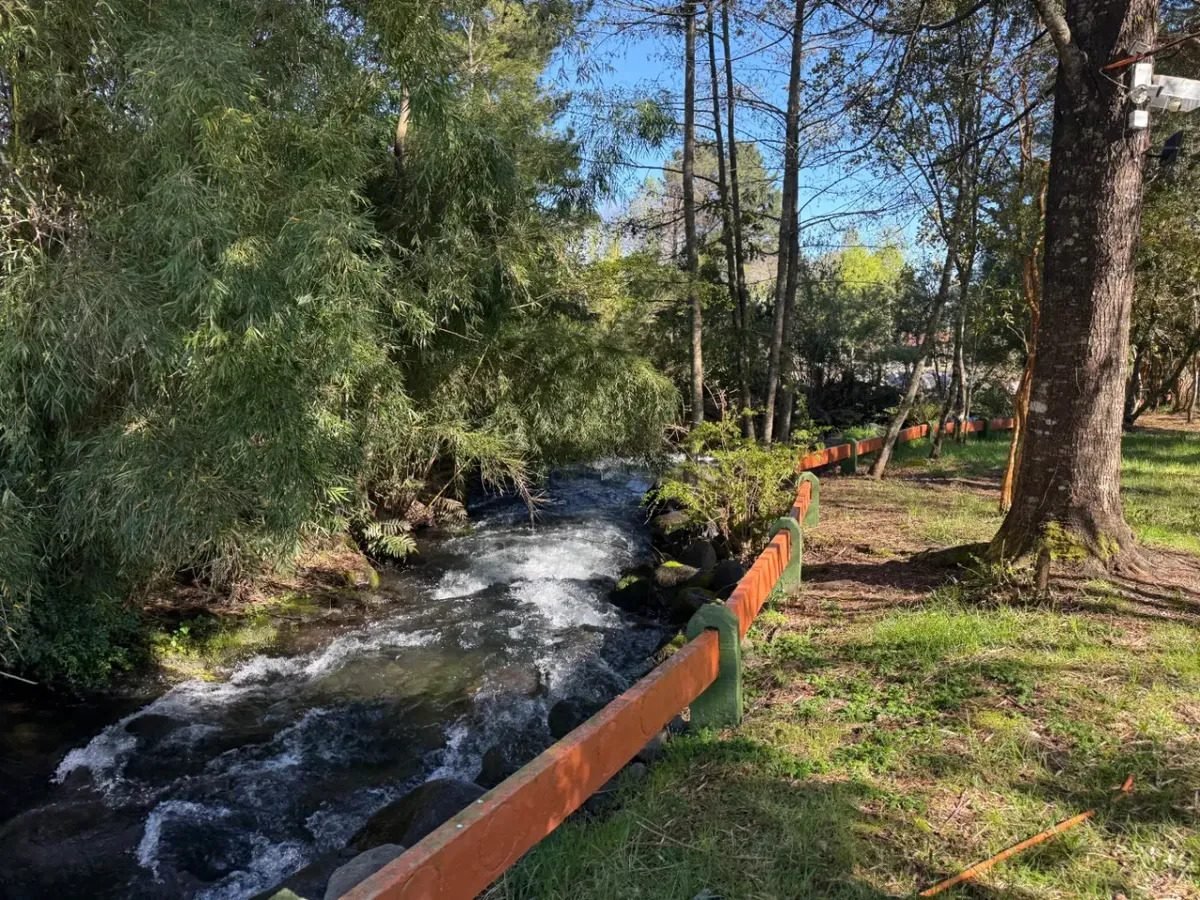 Exclusivo Terreno de 1 Hectárea en Molco Alto, Villarrica